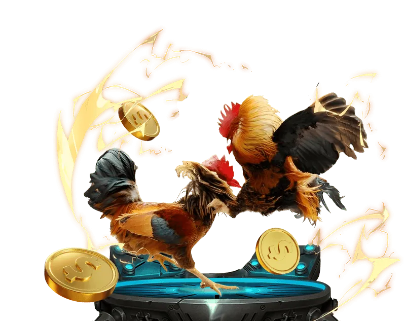 68 gb cam kết cá cược có trách nhiệm